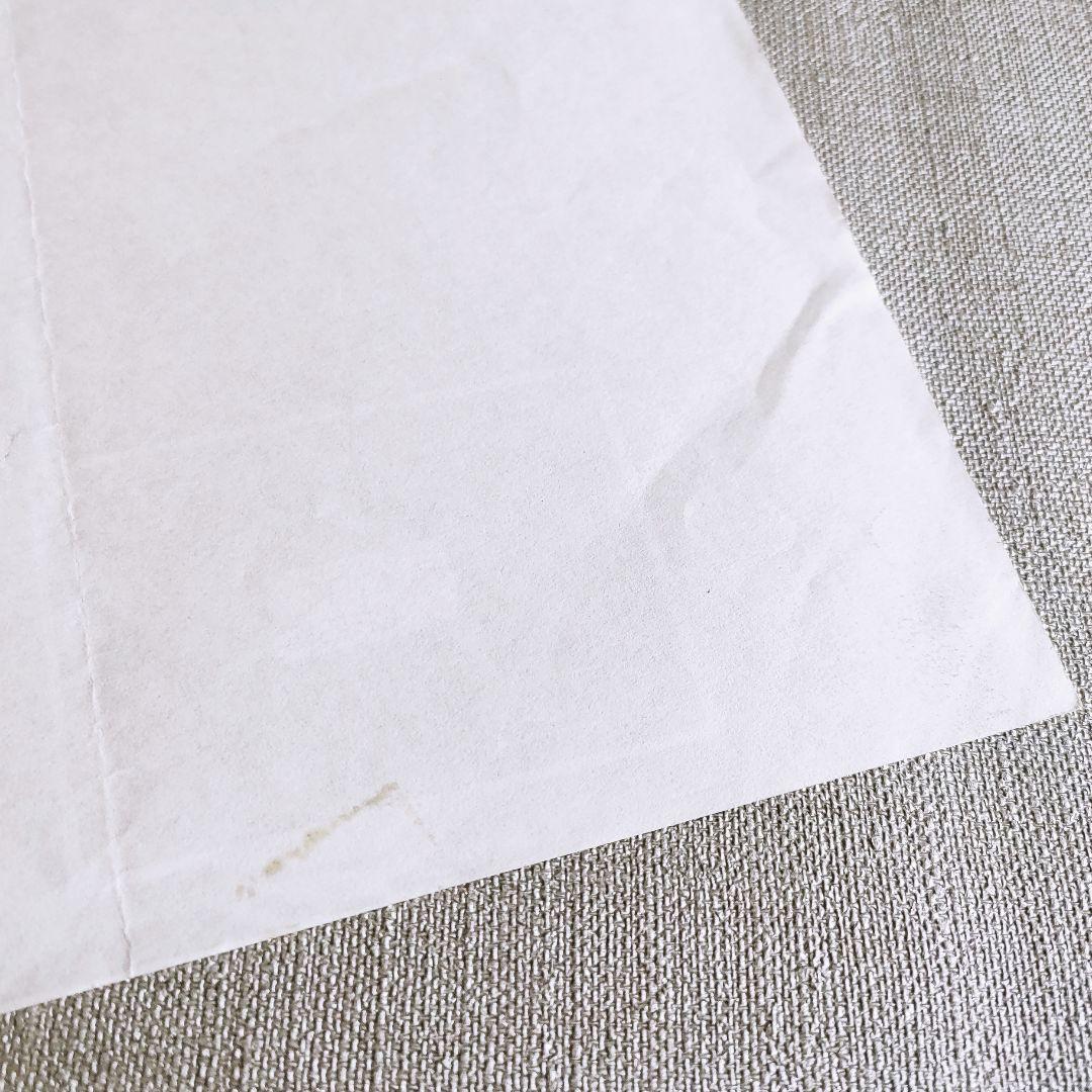 【超貴重】石月務 FANATIC◇CRISIS 1994年 フライヤー チラシ