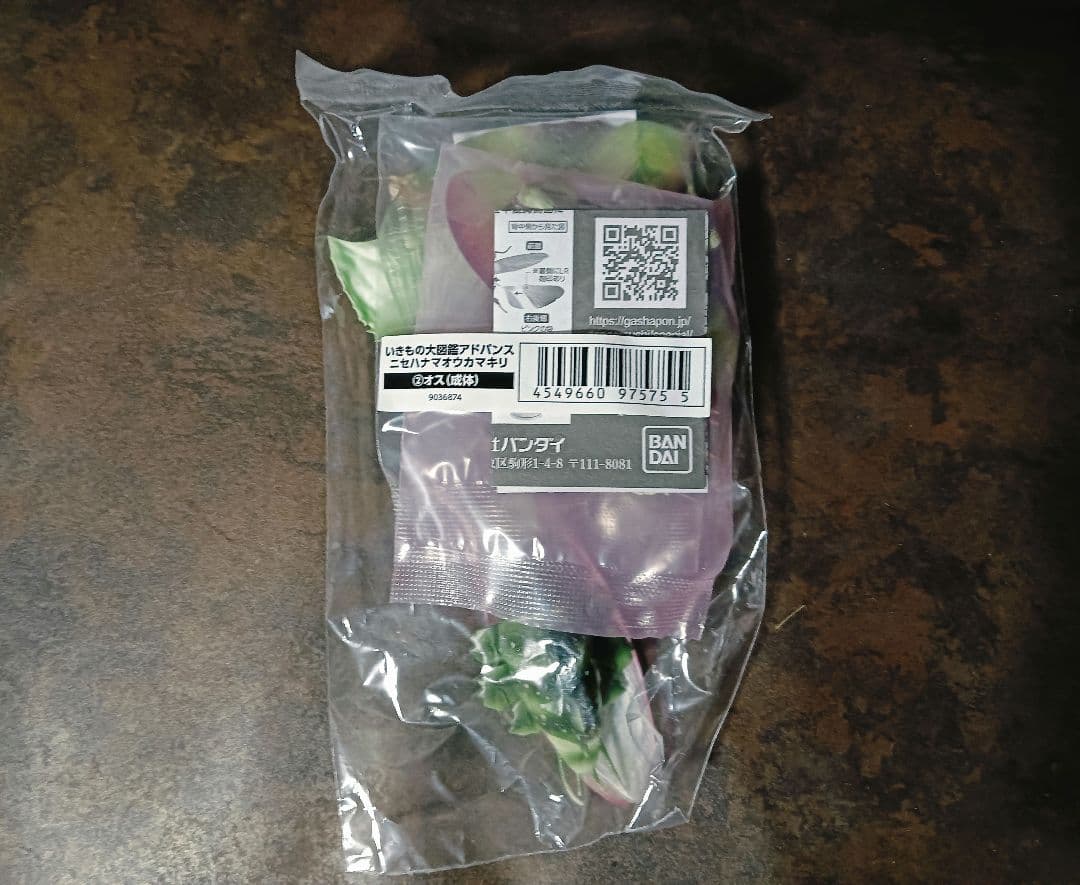 いきもの大図鑑アドバンス ニセハナマオウカマキリ　オス 成虫　オンライン版