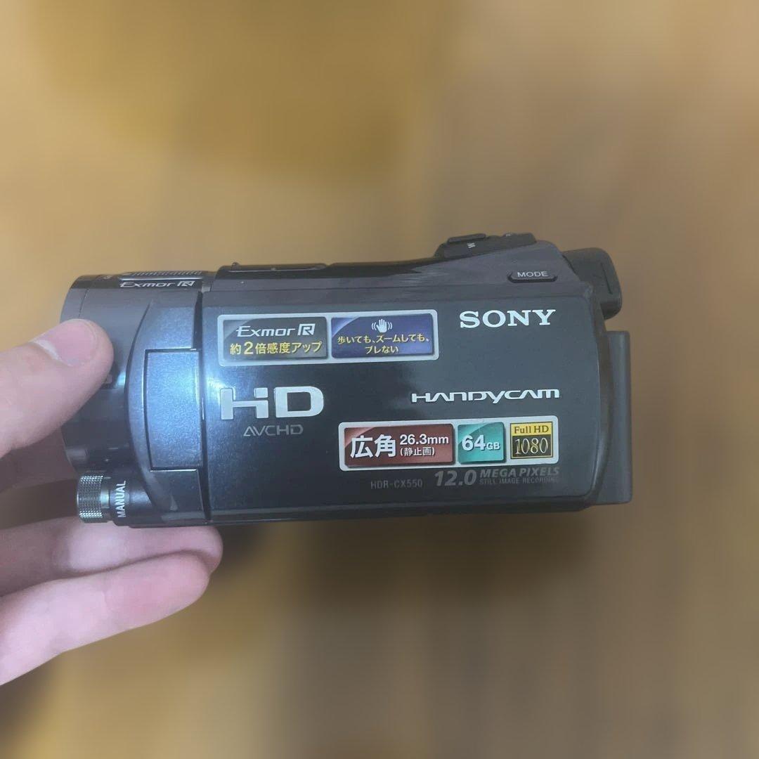 ソニー SONY ビデオカメラ HDR-CX550V