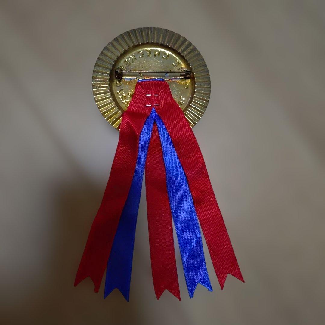 チェッカーズ サイン色紙 ファンクラブ限定 勲章 バッジ ファンレター