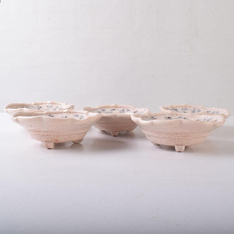 和食器　美濃焼　陽山窯　三代　水野雅之作　志野向付　五客揃　共箱　VR8272H