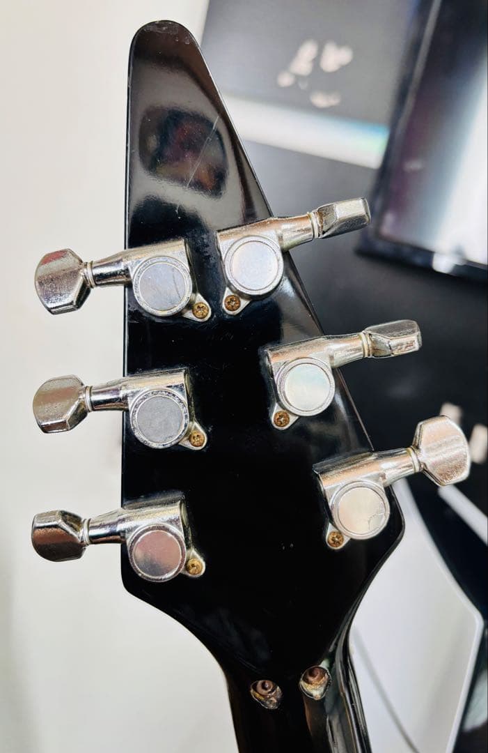 FERNANDES THE FUNCTION フライングVタイプ