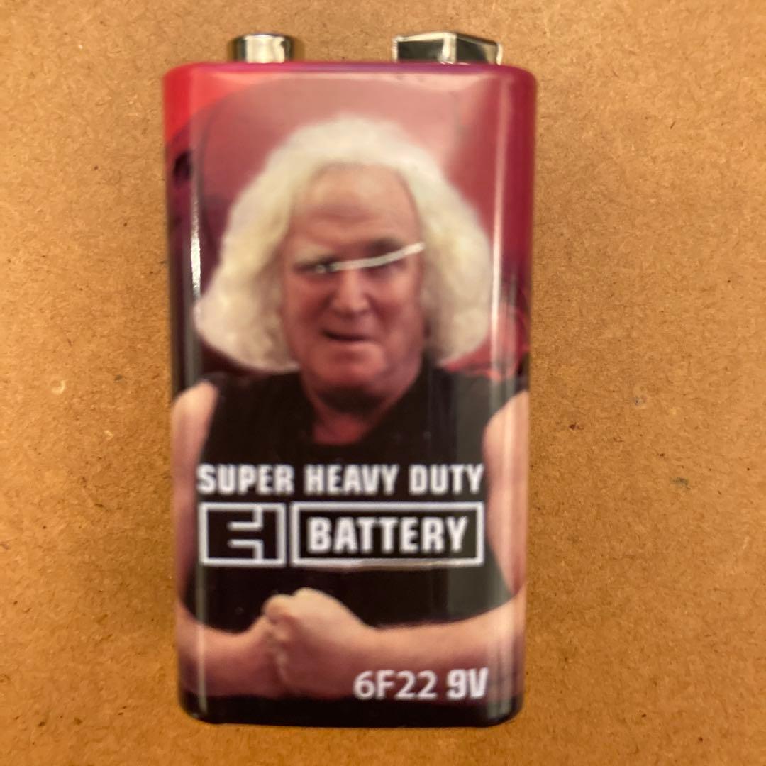 Electro-Harmonix bad stone フェイザー 国内正規品