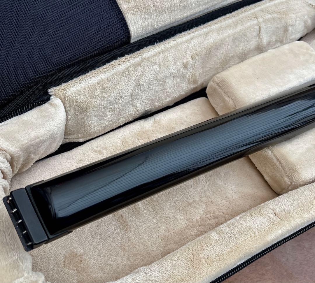 STEINBERGER XQ-25A 1994 スタインバーガー 5弦 - メルカリ