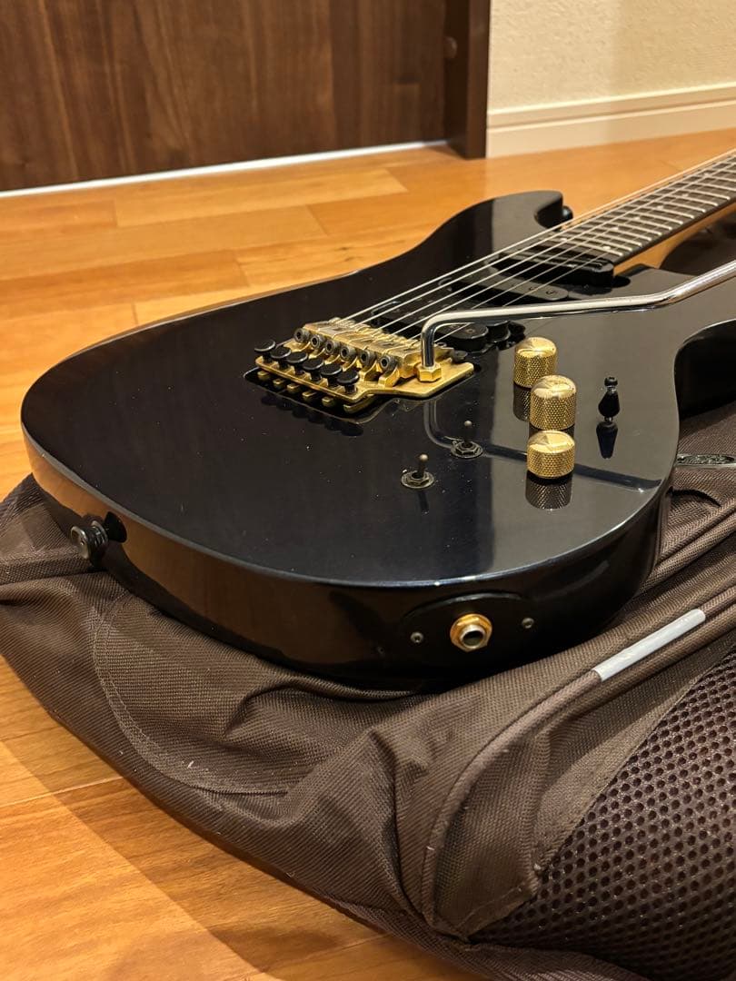 s*n様 FERNANDES APG-85S／フェルナンデス／サスティナー／エレ