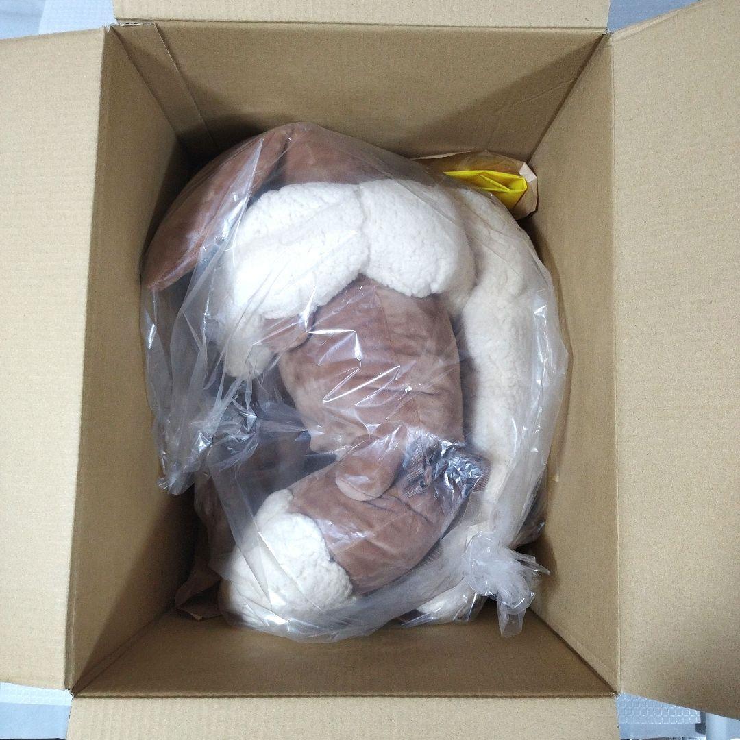 ポケモン　ボタンのイーブイリュック　イーブイリュック型ポーチ　セット