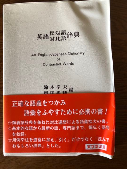 田中芳園 赤富士 肉筆 清堂箱書 日本画 掛け軸 掛軸 正月 富士 縁起物 絵画