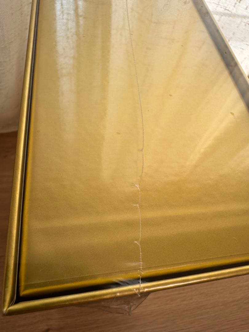 【新品未開封】ポケモンカードゲーム 25周年記念ゴールデンボックス【5258