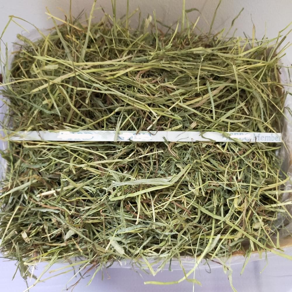 12/30まで】US産 チモシー 40kg 2番刈 ソフトSプレミアム