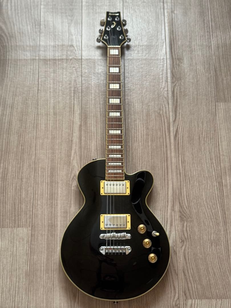 Ibanez エレキギター 【ケース付き】