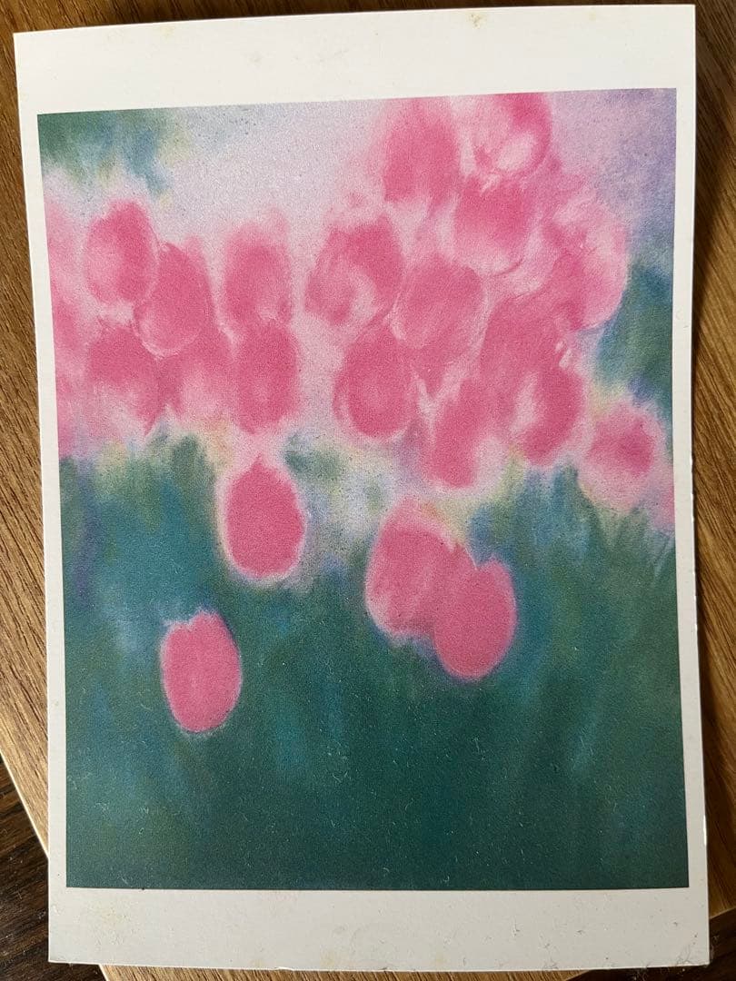 大きめ リトグラフ 新品額入 46✖️63 ジニーキム サイン ED 証明書