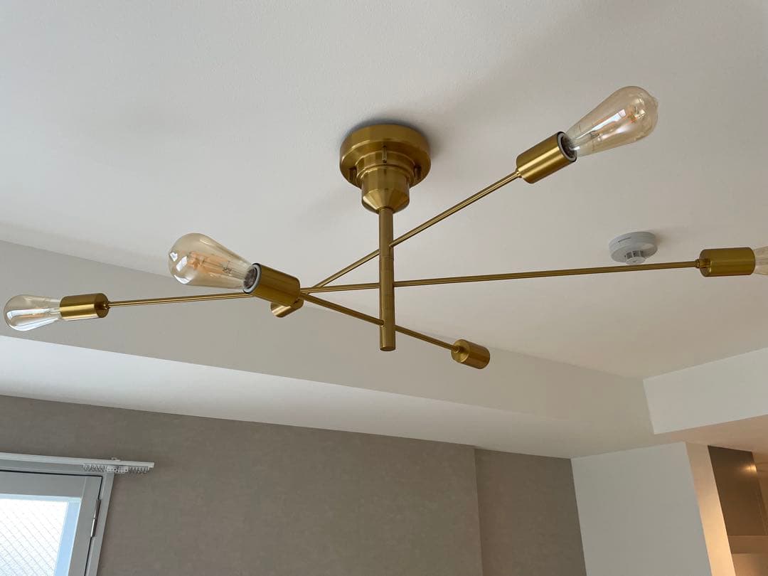 Astre unico別注カラー シーリングライト ウニコ セール