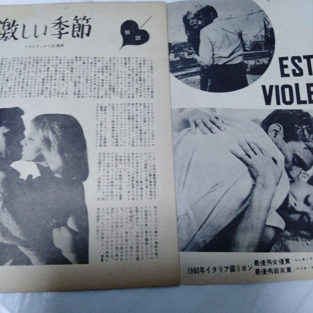 激しい季節　イタリア映画　60年　パンフレット　極レア　ズルリーニ　ドラゴ