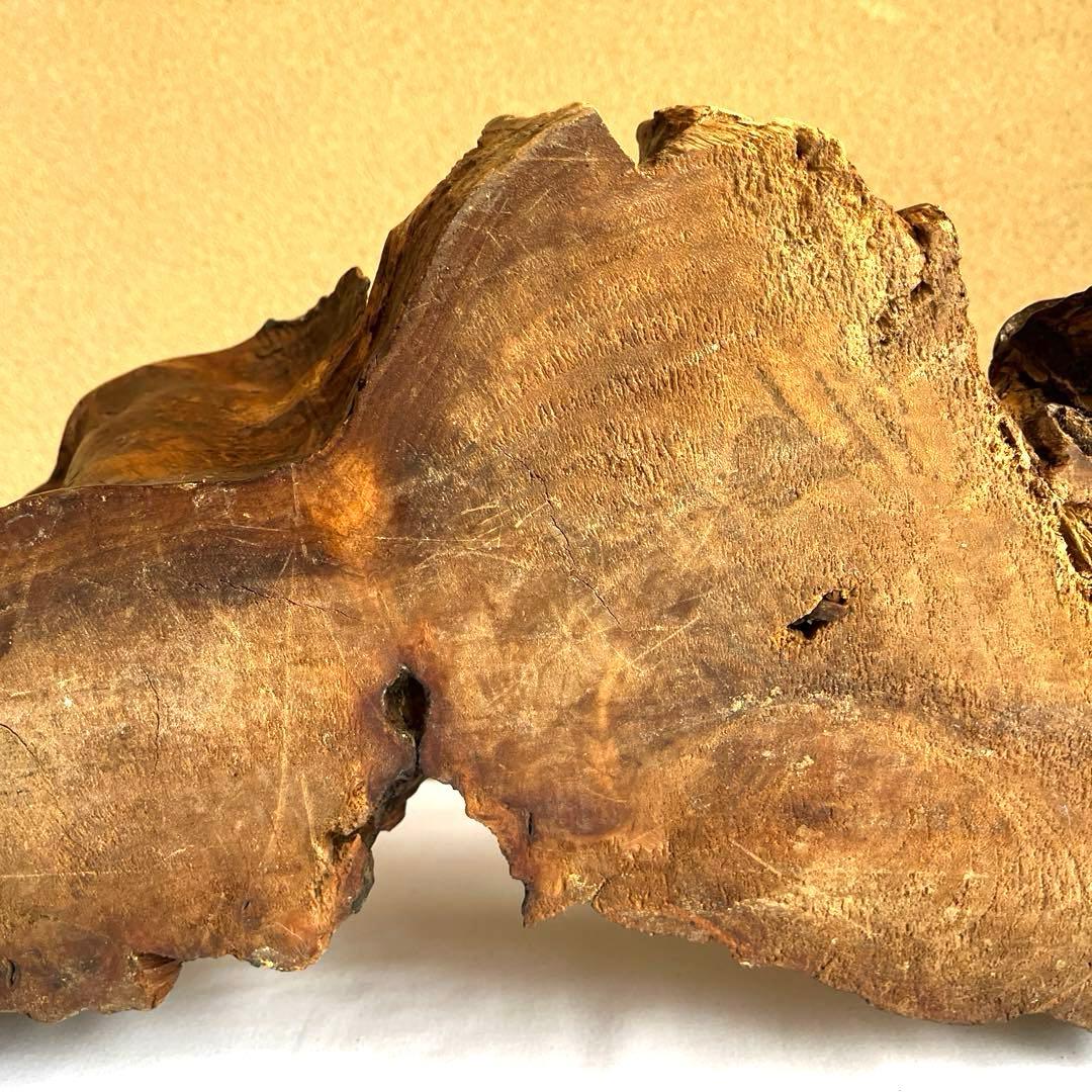 天然木 カエルの彫刻 流木 インテリア装飾 彫刻 美術品 骨董 幅60㎝ カエル