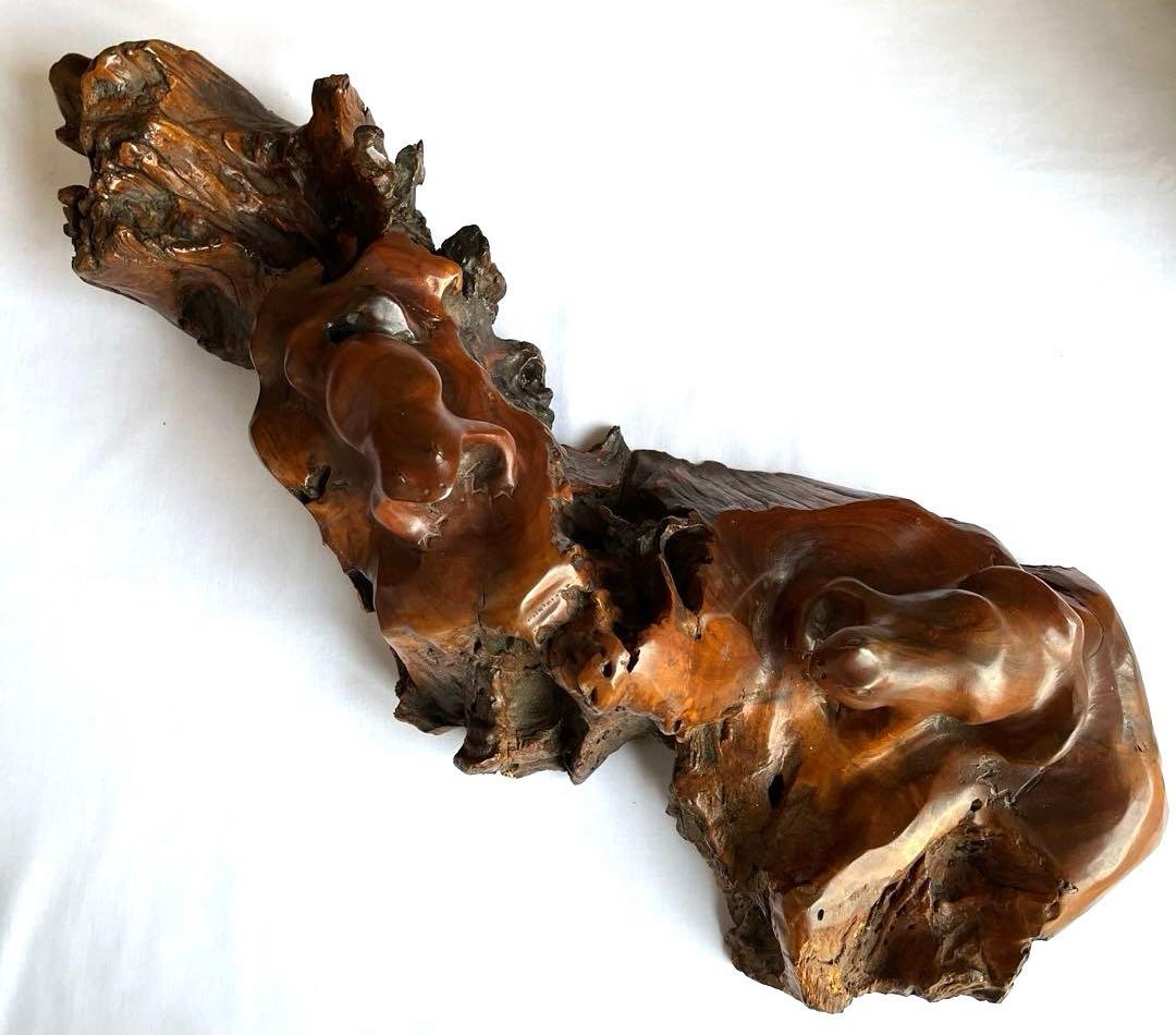 天然木 カエルの彫刻 流木 インテリア装飾 彫刻 美術品 骨董 幅60㎝ カエル