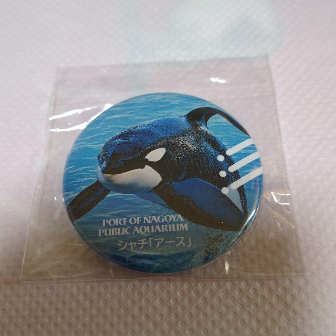 名古屋港水族館 シャチ『アース』 缶バッジ - メルカリ