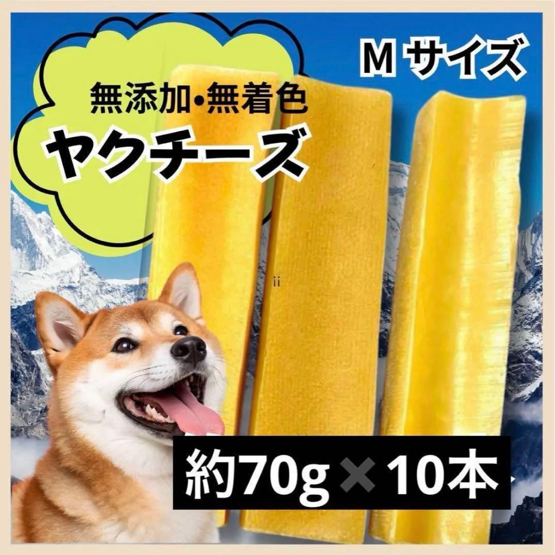 期間限定価格！ヒマラヤ産ヤクチーズ Mサイズ 10本セットまとめ売り ヒマラヤ産ヤクチーズ Mサイズ 10本セット｜Yahoo!フリマ（旧PayPay