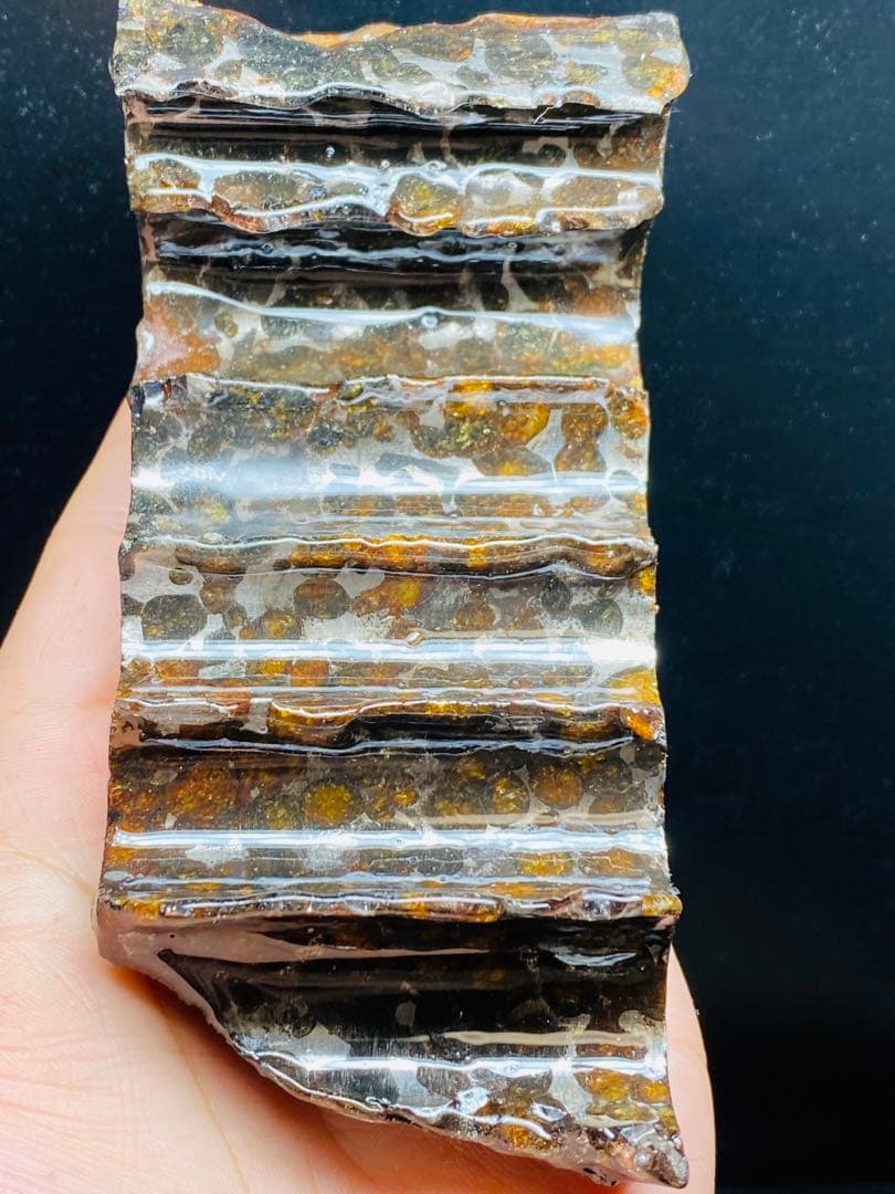 鑑別書付き パラサイト隕石 504g 123㍉ 石鉄隕石 セリコ隕石 高品質