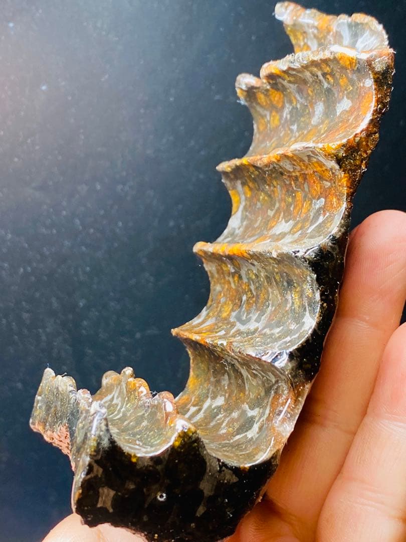 鑑別書付き パラサイト隕石 504g 123㍉ 石鉄隕石 セリコ隕石 高品質