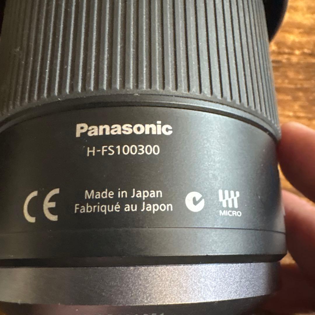 Panasonic H-FS100300 100-300mm ズームレンズ H-FS100300_452235?wid=1200&hei=630