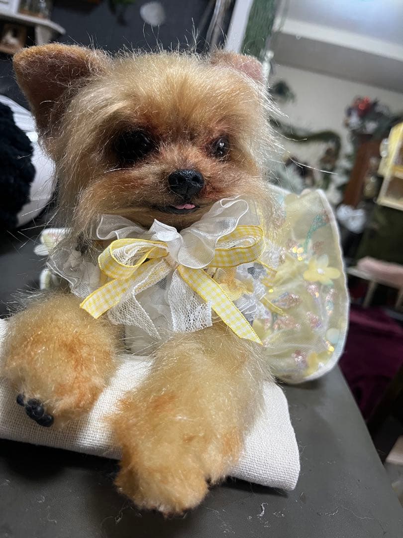 ちょこみん グミ・チョコレート・パイン（3） ＜完＞』（佐佐木 勝彦,清水沢 亮