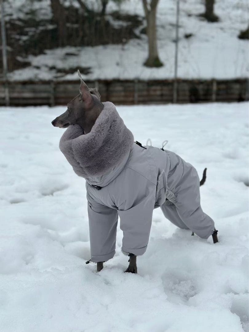 ③schott【42】ライナー付 141米国製◇革ジャンninjaハーレーUSA