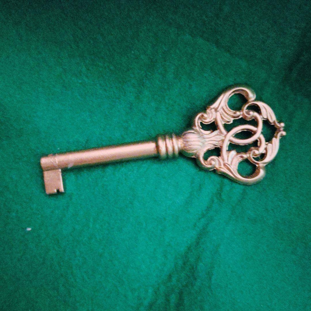 TANNOY タンノイ純正 Front 鍵 - AUTOMATIZARELHOGAR.COM