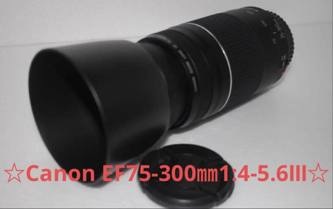一眼レフカメラ☆望遠レンズ☆Canon EF75-300㎜1:4-5.6Ⅲ