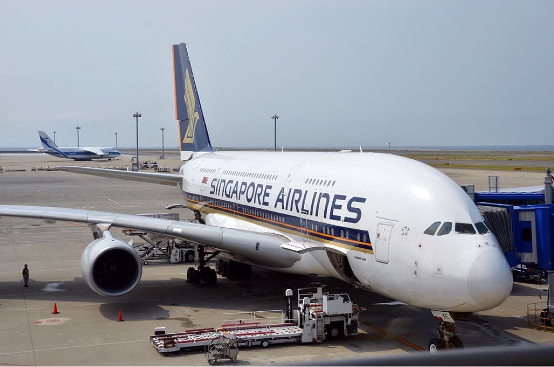 ももんじゃさん専用 モンブランスターウォーカー エアバスA380ファイン