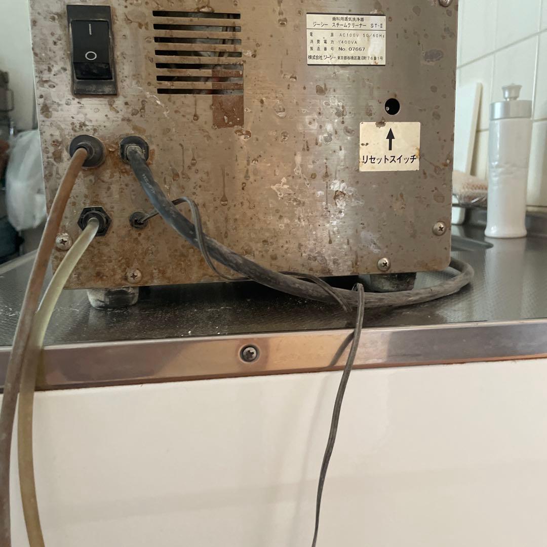 STEAM CLEANER ST-1