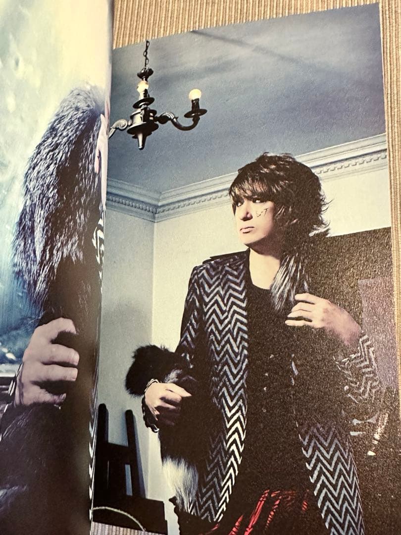 BUCK-TICK パンフレット THE DAY IN QUESTION2011 - メルカリ