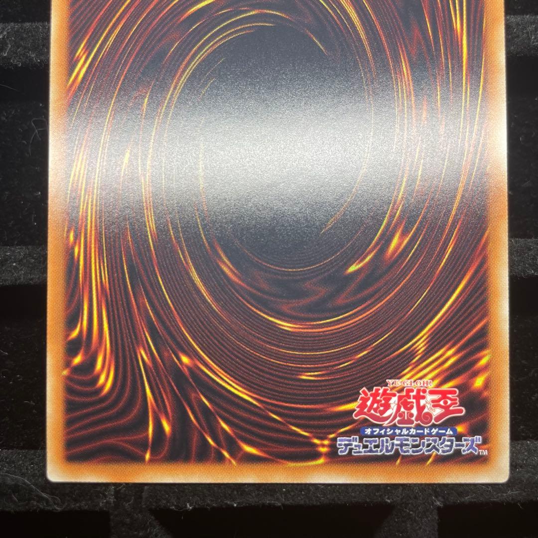 【美品】万物創世龍 10000シク IGAS-JP000