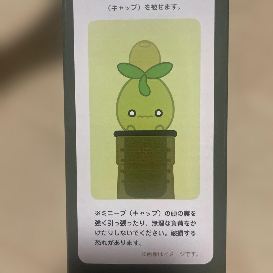 オリーブオイルボトル ミニーブ ポケモンセンターカガワ×2