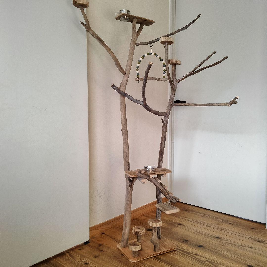 バードアスレチックジム大型 ㊶ 天然木 自然木 流木 インコ おもちゃ