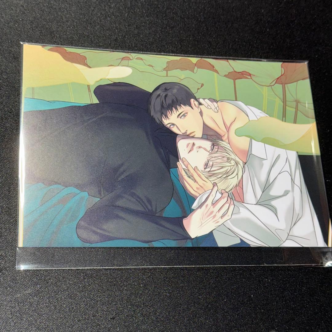 韓国BL J庭 ベルトゥーン チェキ カード バックライト backlight