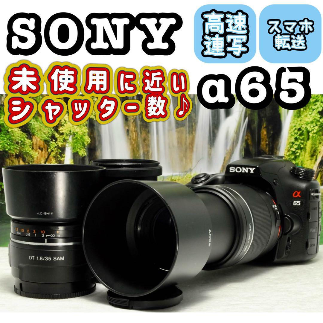 まいたけ様期間限定値下‼️SONY α65 ❤️スマホ転送 トリプル ソニー まいたけ様期間限定値下‼️SONY α65 ❤️スマホ転送 トリプル ソニー
