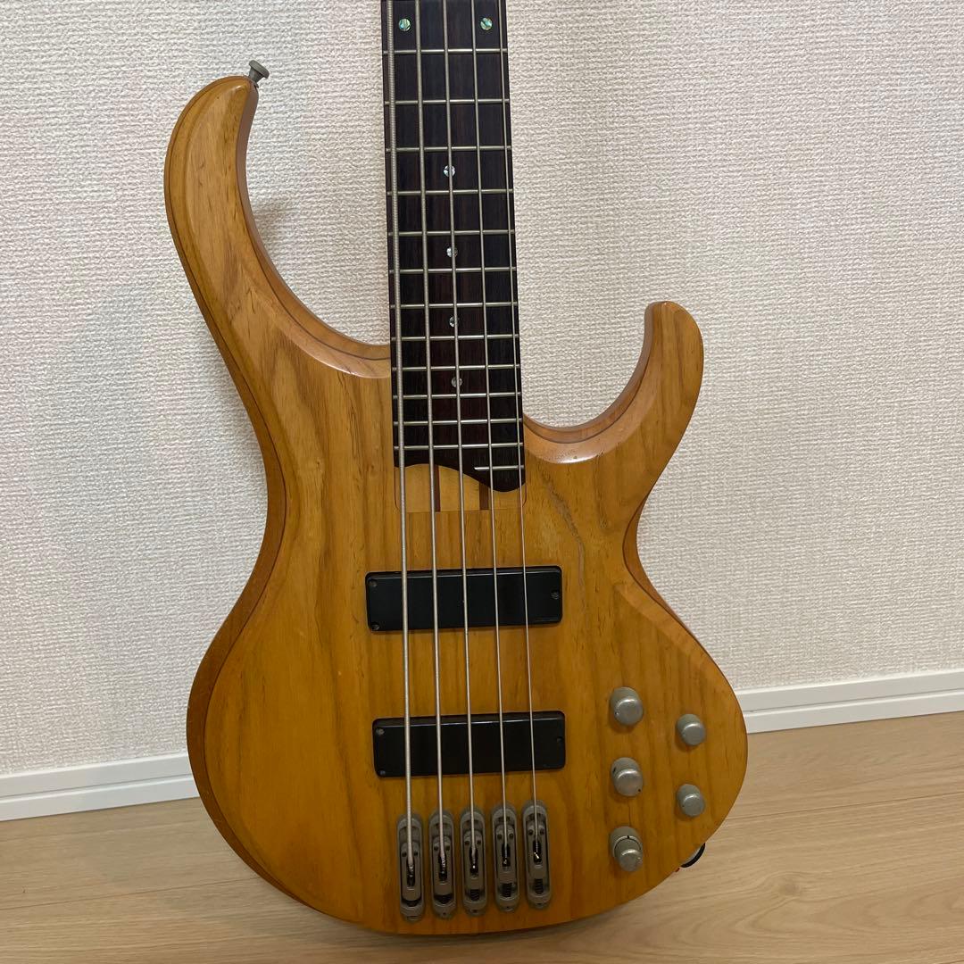 Roger Mayer / VooDoo-Bass KAMEDA CLASSIC