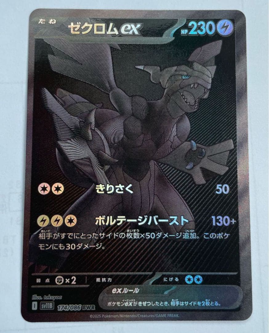 真作/矢野橋村/橋立や/松画賛/矢野鉄山の桐極箱二重箱付/布袋屋掛軸HH