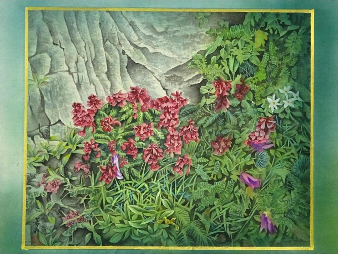 掛軸 若舟『山草図 タカネシオガマ』日本画手描き表装 絹本 箱付 a062811