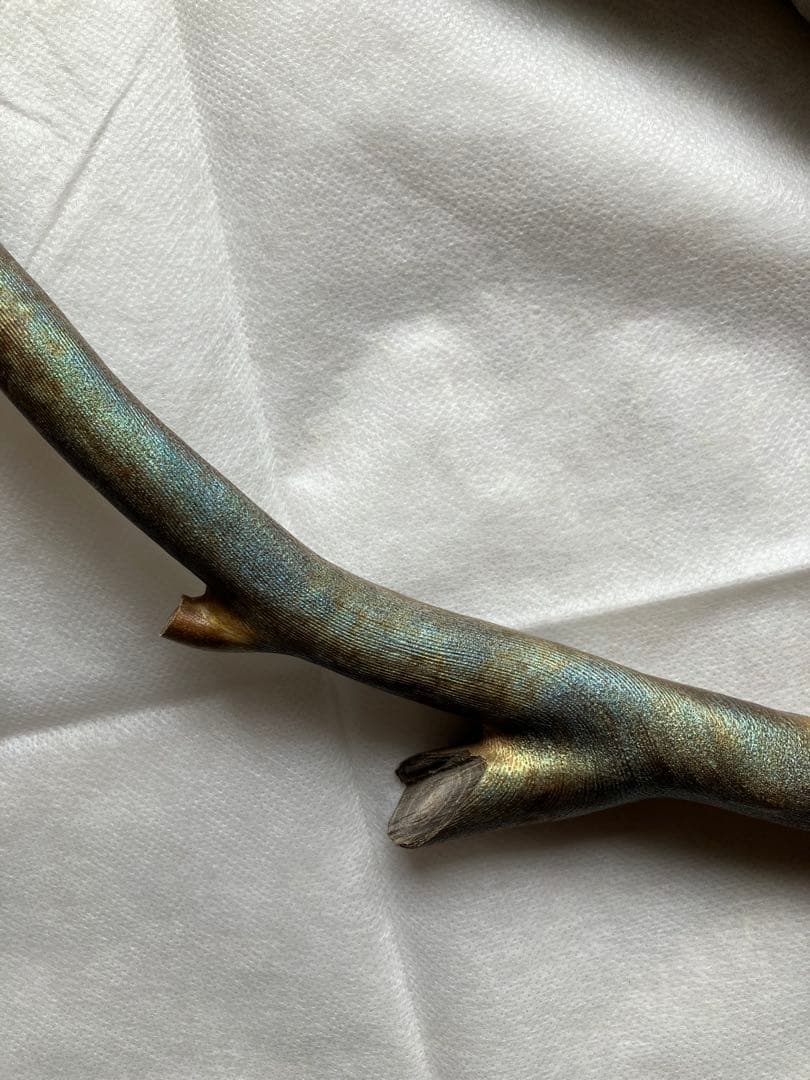 【最高級品】レインボーコーラル、深海松