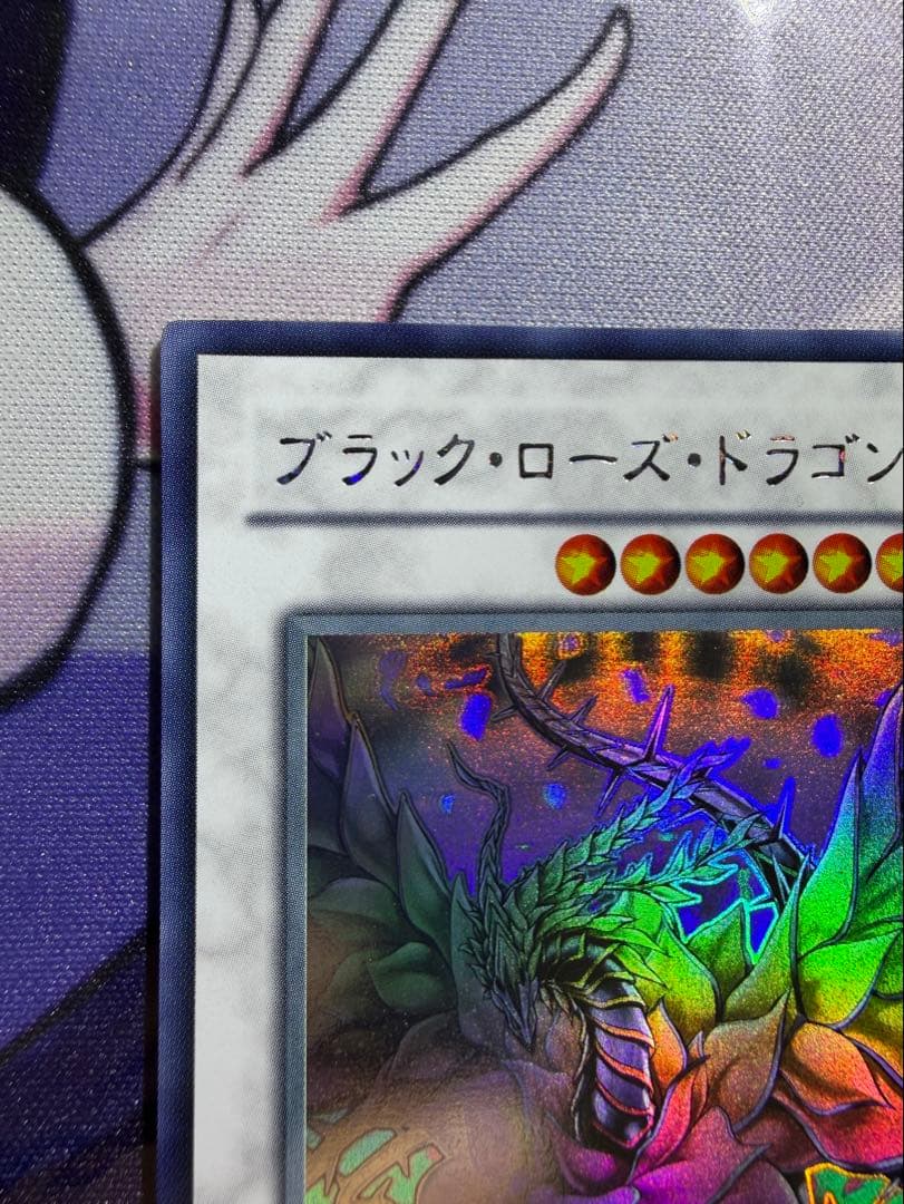 【遊戯王】ブラック・ローズ・ドラゴン ホログラフィック