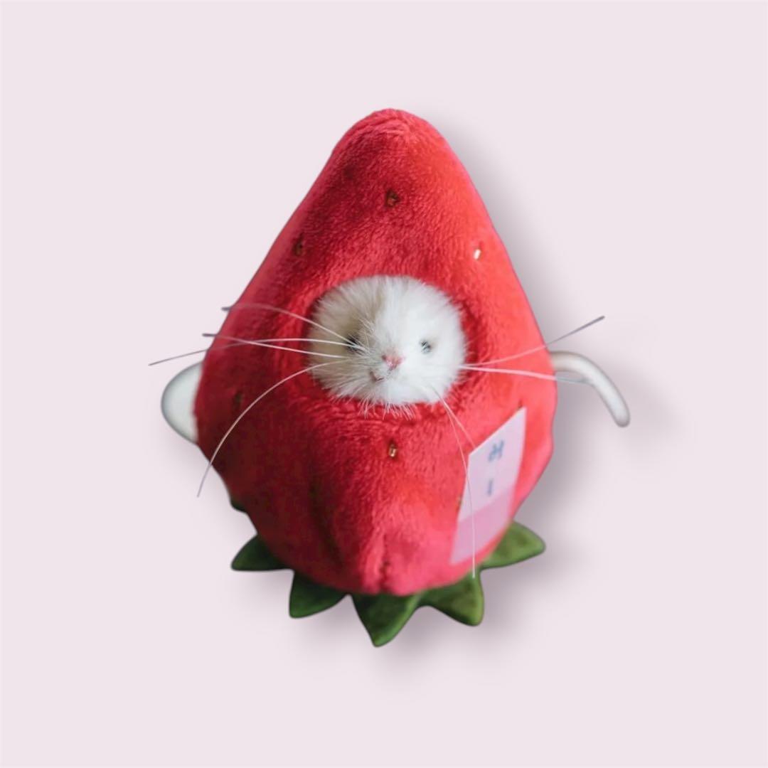 三角ユウリ　マウスのぬいぐるみ　苺