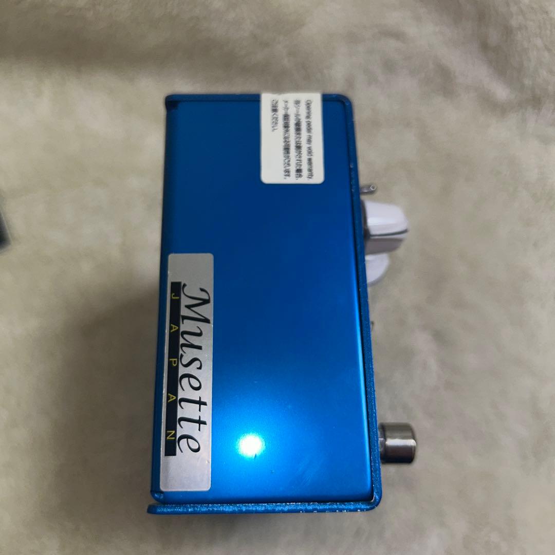 【箱あり】Bogner ecstasy blue