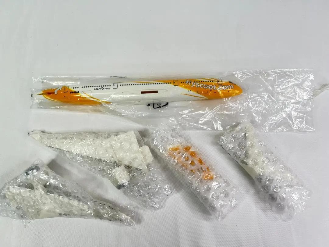 PPC Holland FLY Scootスクート航空 B787-9 1/250 - メルカリ