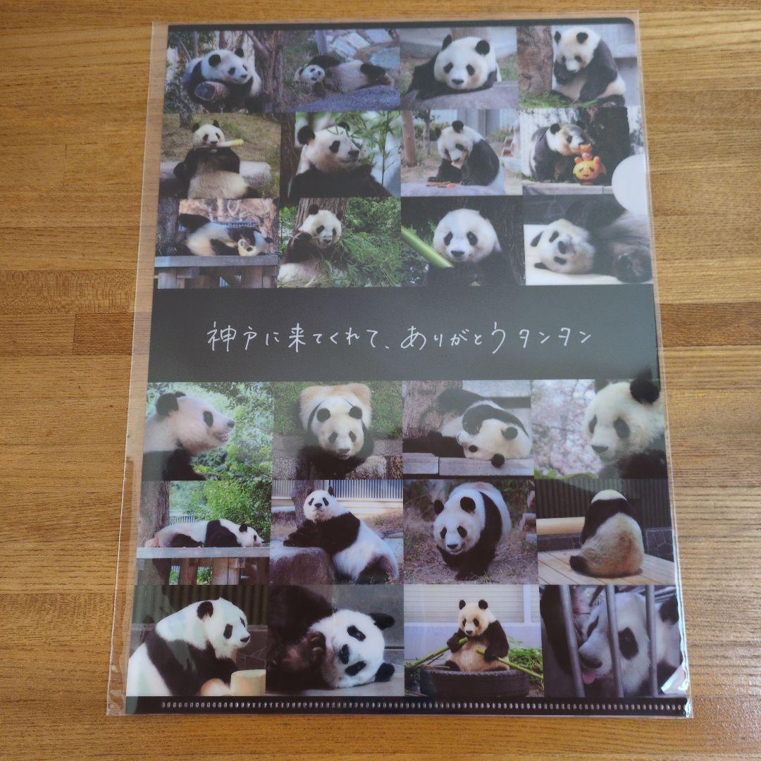 パンダ タンタン A4クリアファイル 王子動物園 未使用 - メルカリ