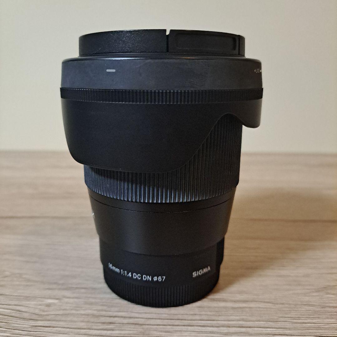 071/066 ホビー・楽器・アート 【期限切れ単勝馬券】 サラ系2歳新馬