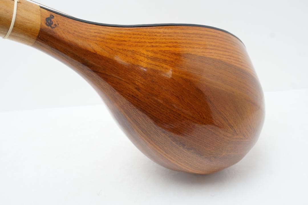 セタール　弦楽器　アジア　民族　リュート系