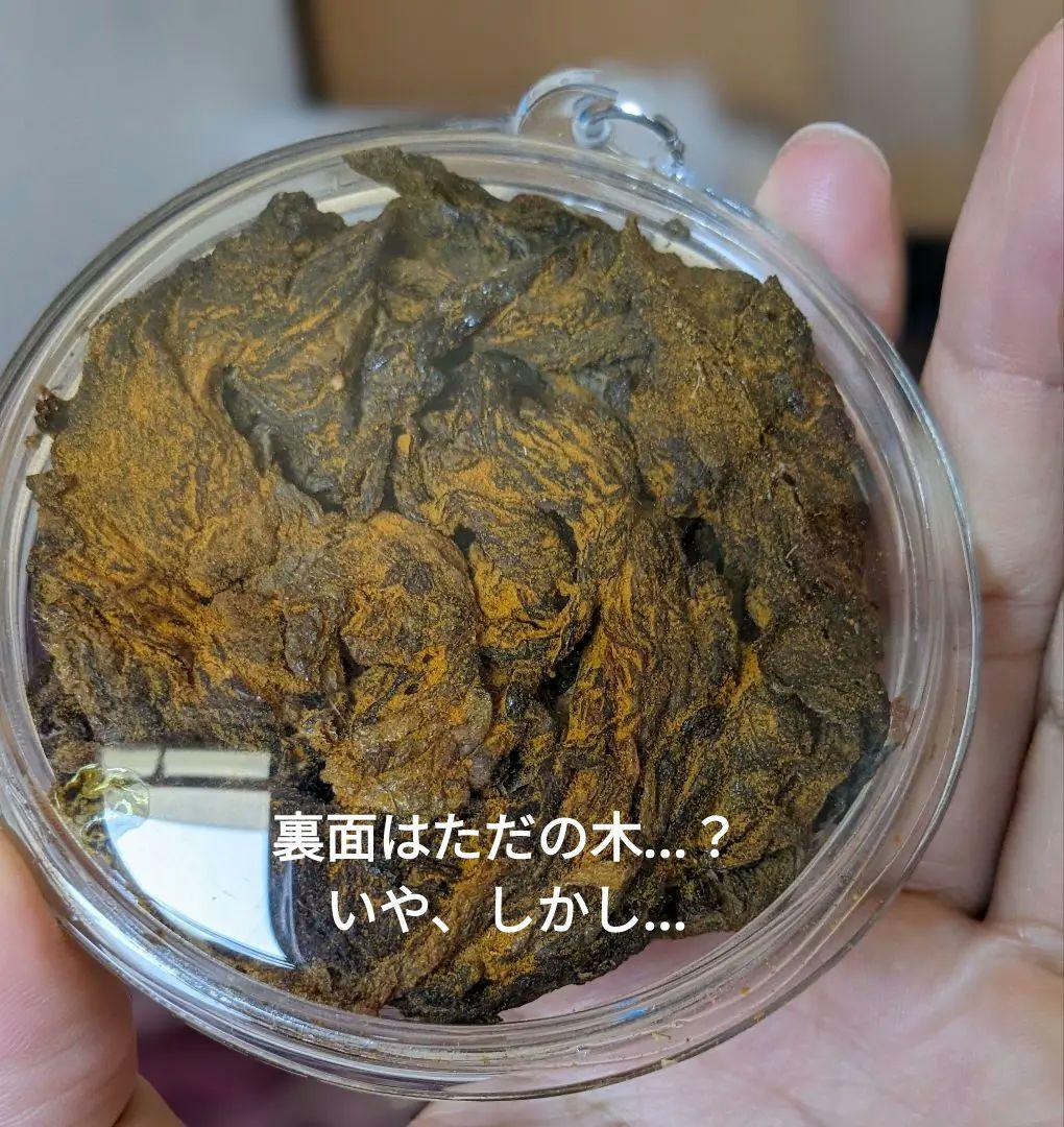 マジモノ…】動物の〇ちゃんを素材としたプラクルアン？呪物？すごい金