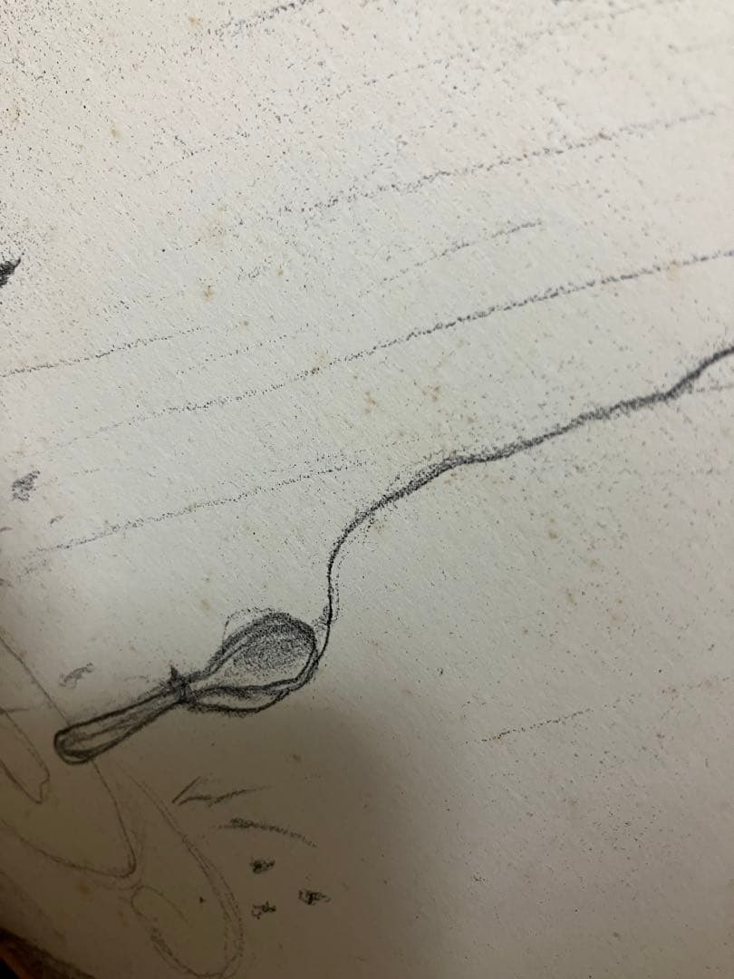 フジ子・ヘミング 『雨の日』 海外 アート - メルカリ