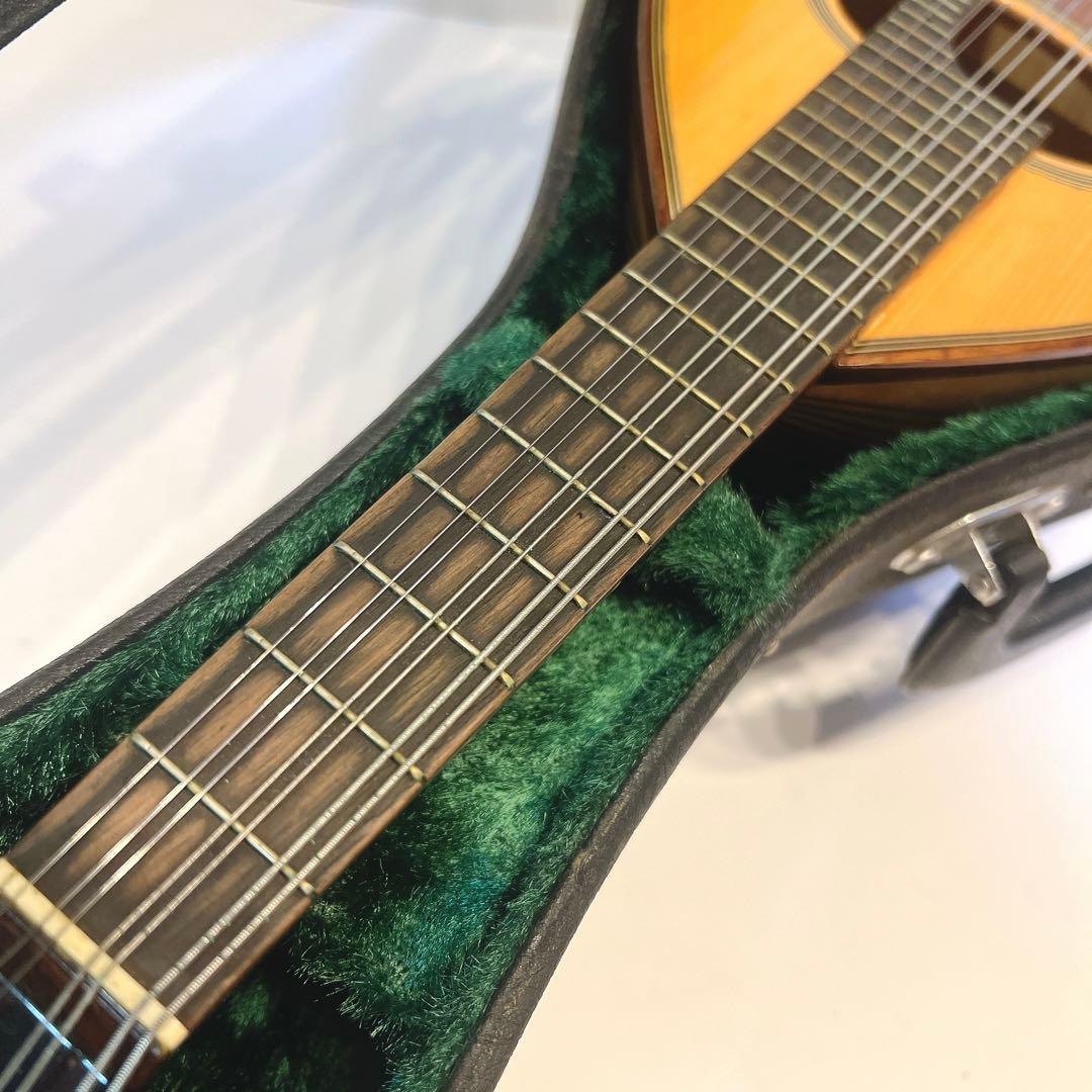 【美品・限定1本】SUZUKI マンドリン　M-30 ハードケース　スズキ